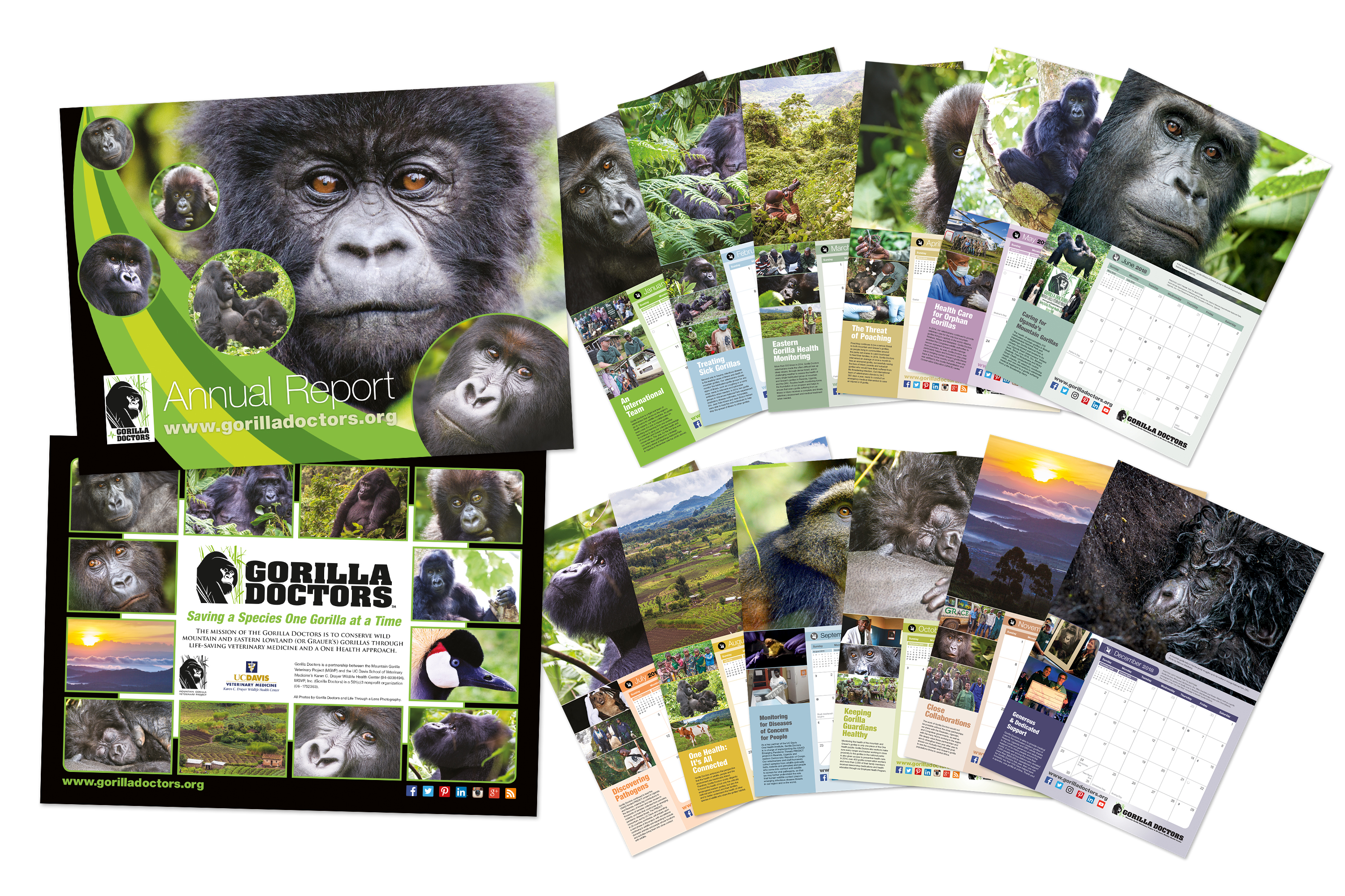 Gorilla Doctors Annual Review